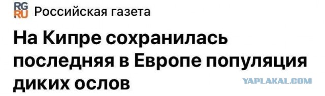 Рязань - Сасово из кабины машиниста