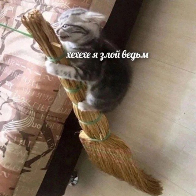 Приколы с налетом деградации