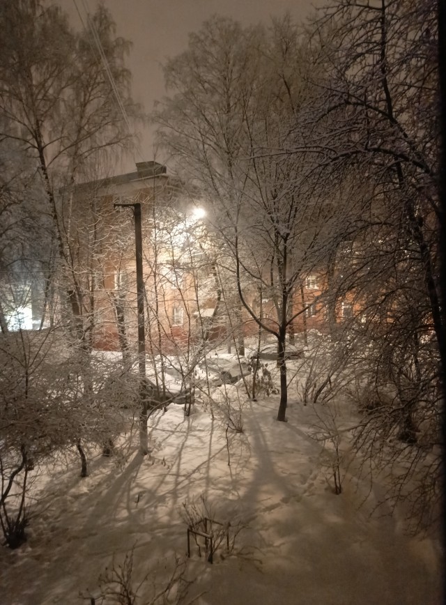 Зимняя красота