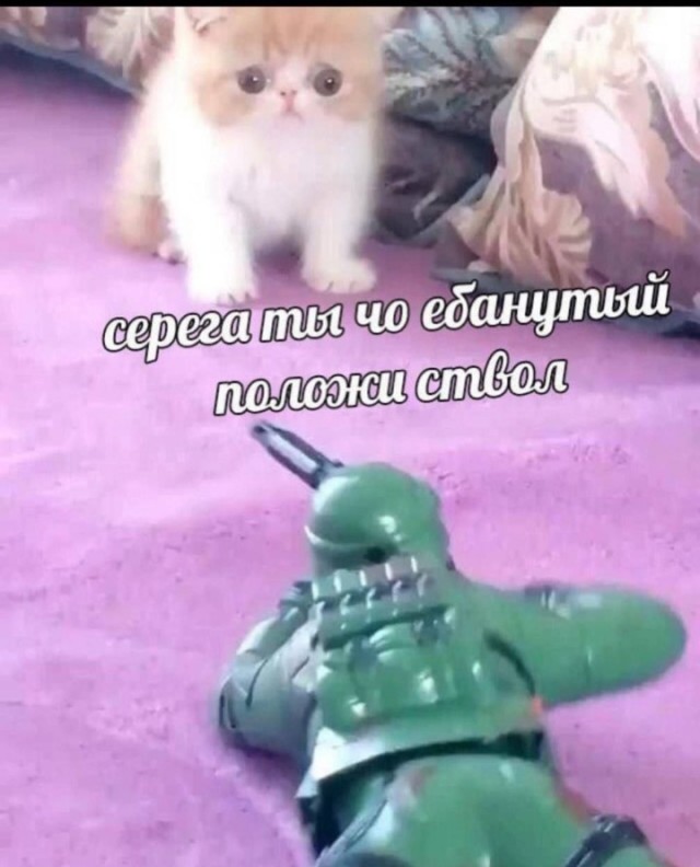 Всего понемногу. Оо 22.02.24