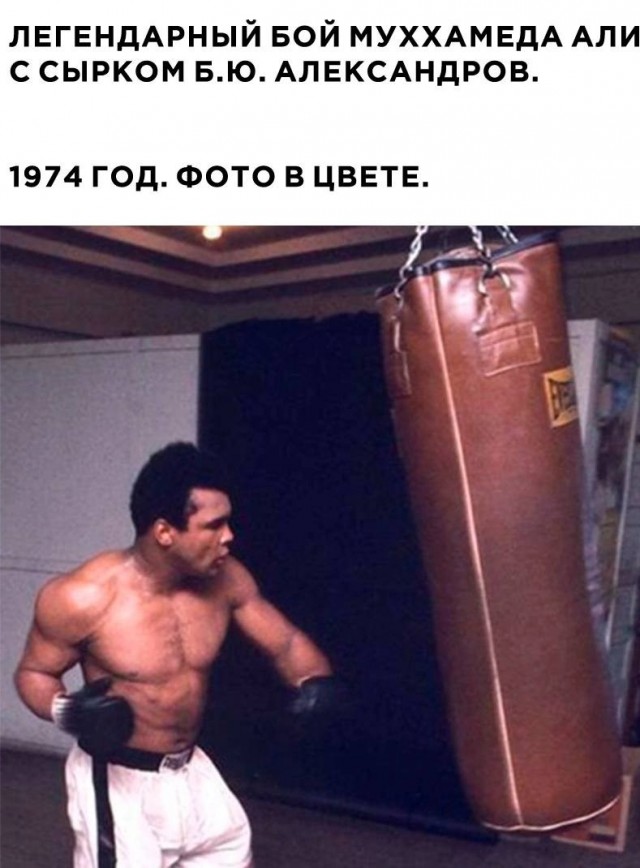 Картинки