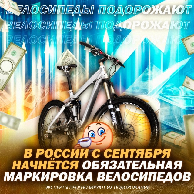 Правительство РФ приняло постановление об обязательной маркировке велосипедов. Велики подорожают