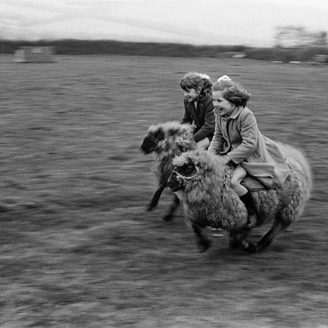 Смешал, но не взбалтывал: 22.06.24