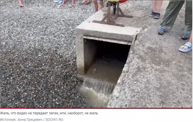 Туристы и жители Сочи просят ликвидировать сливы канализации в море