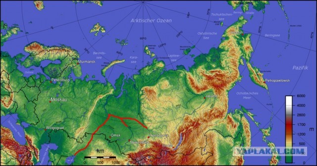Узбекистан. Корабли пустыни.