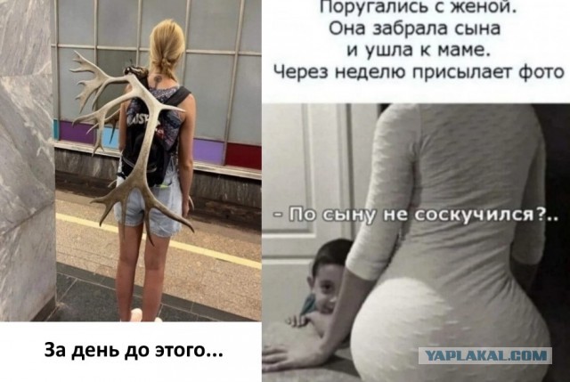 Так себе картинки 19.09.24