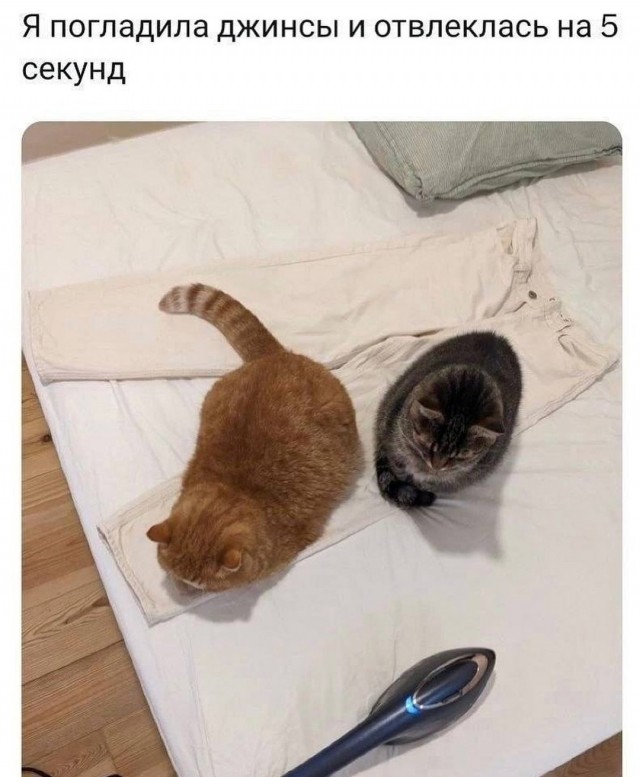 Завалялось тут случайно немного забавных картинок