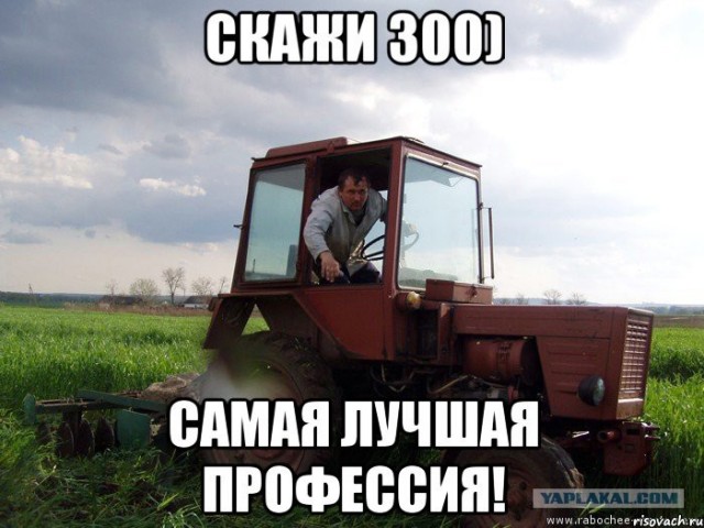 Так себе картинки 11.11.24