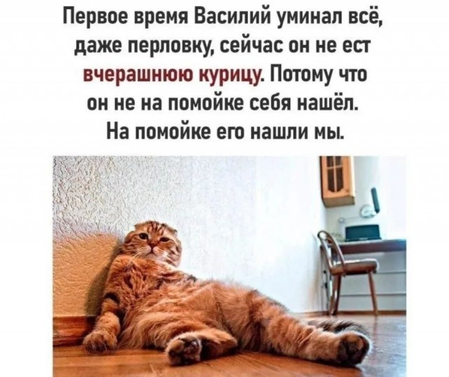 Завалялось тут случайно немного забавных картинок