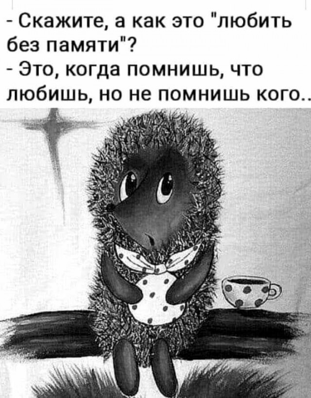 Прикольные и просто красивые картинки 11.04.2025