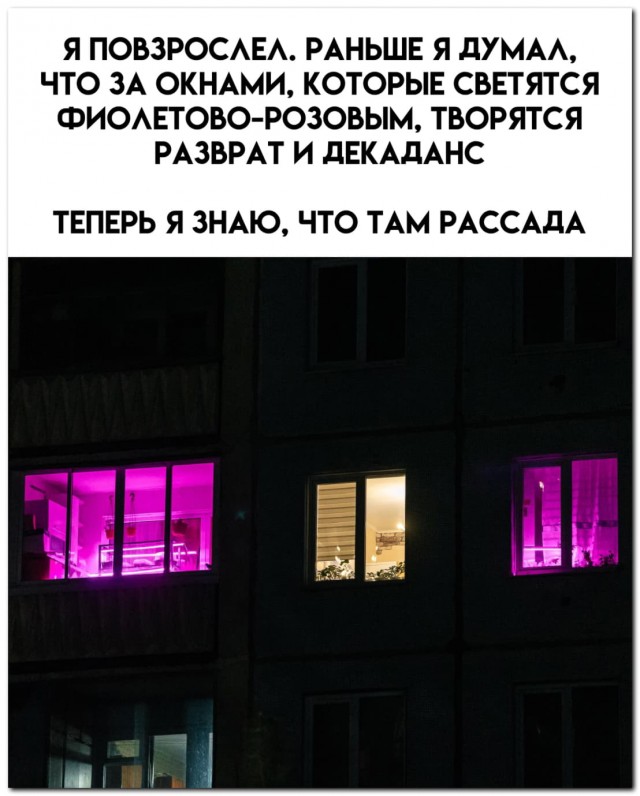 Истина, приходящая с годами⁠⁠