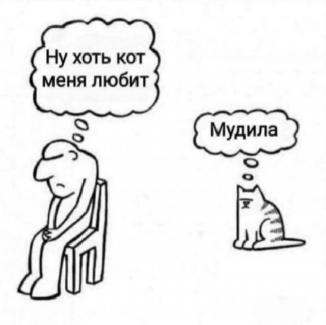 Так себе картинки 30.06.25