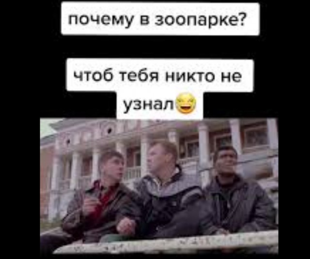 В Питере задержали диверсантов, один из которых замаскировался под хромую бабушку: они готовились устроить теракт
