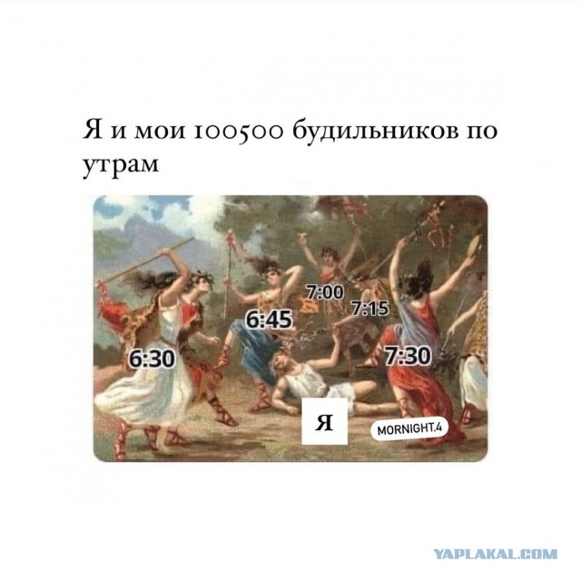 Веселые картинки в пятницу (14.11)