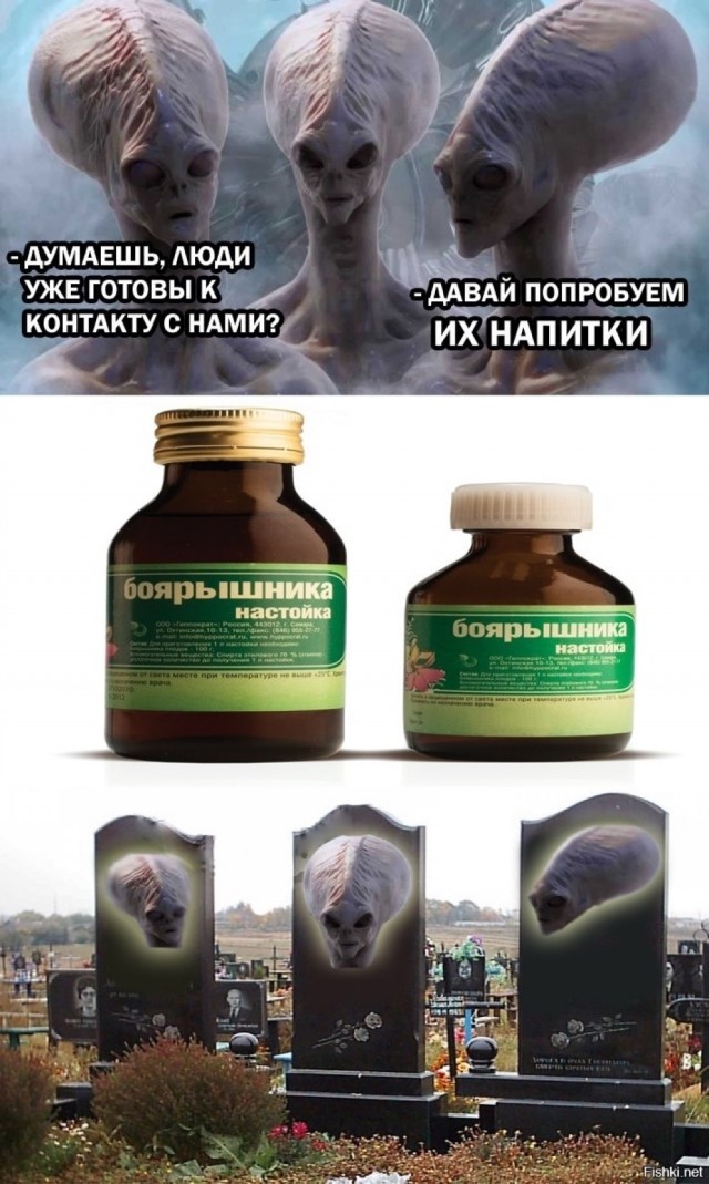 Прикольные и просто красивые картинки 02.12.2025