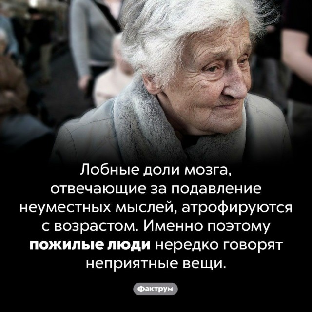 Куча мала 12
