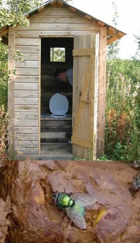 Порою чудеса нежданно (осторожно про говно).