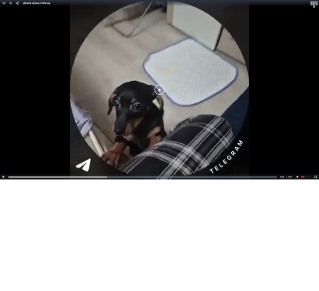 Давай купим собачку