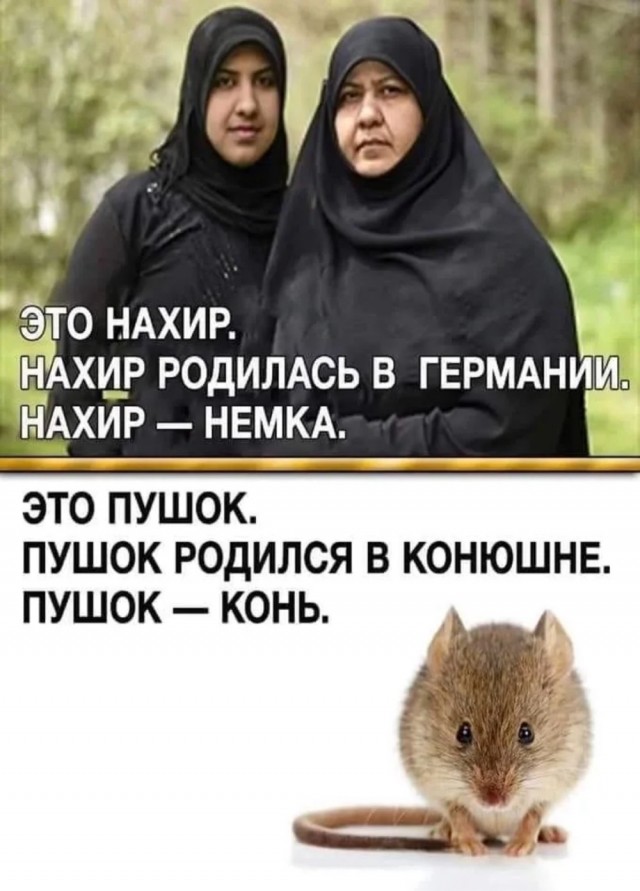 Истинная
