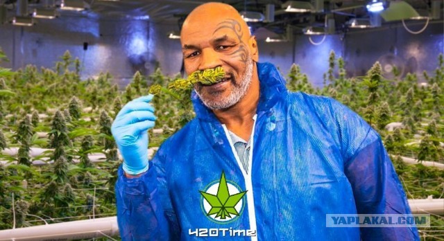 Трогать траву реально полезно для психики