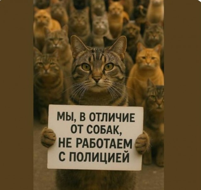 Пока не подружились
