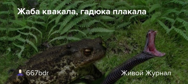 Это моя корова, и я ее дою...