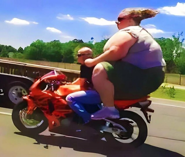 Овца и пдд