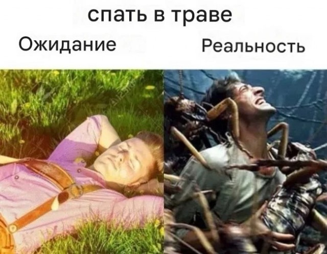 Веселые картинки в маленькую пятницу (27.05)