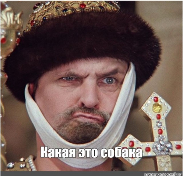 Активность после 40