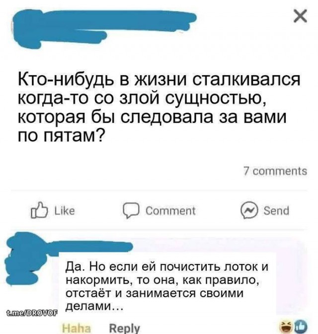 Картинки для деградации 234 (разной степени свежести)
