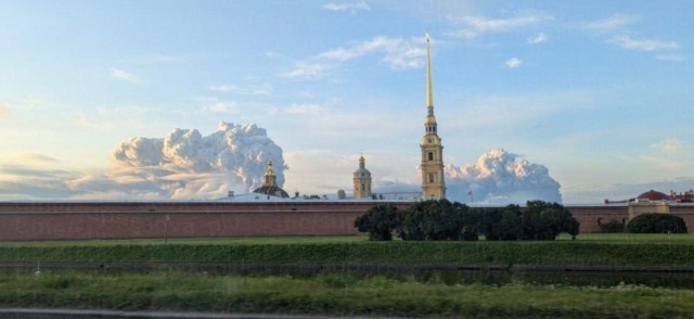 Новая профессия