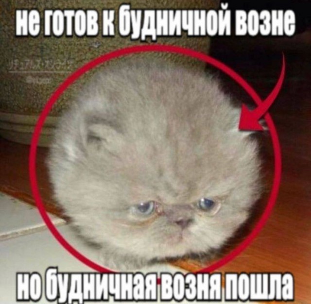 Просто для хорошего вечера