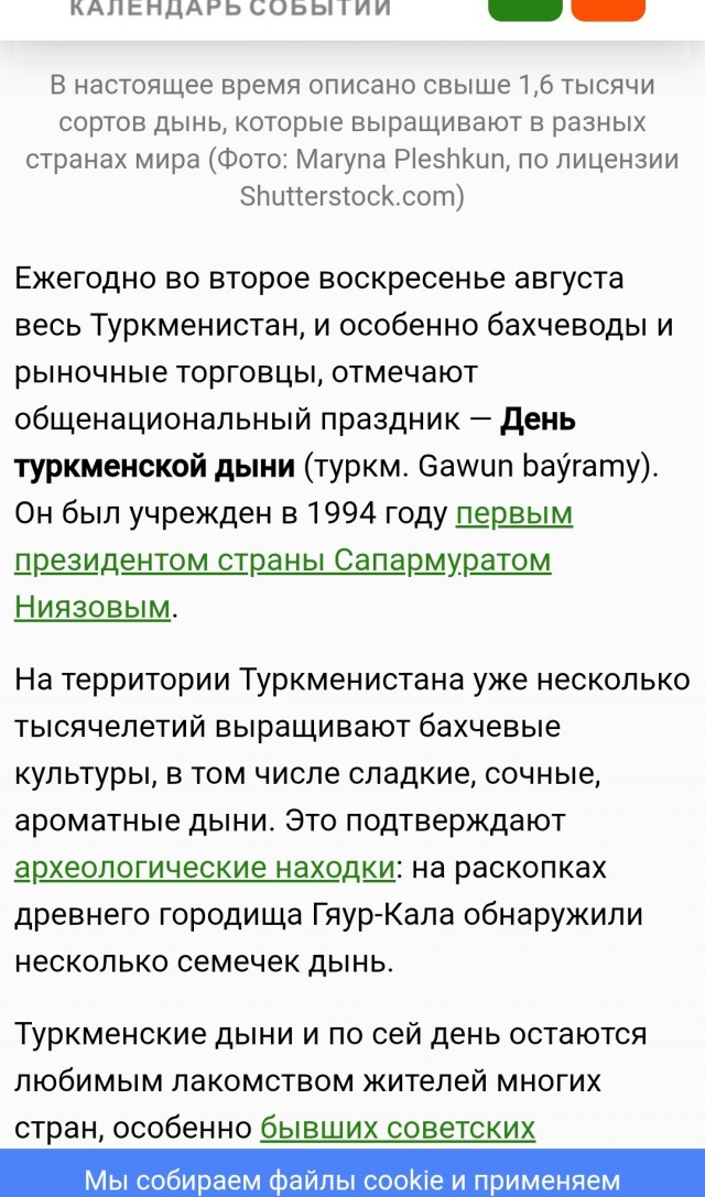 В Узбекистане создали высокоскоростной поезд из дынь
