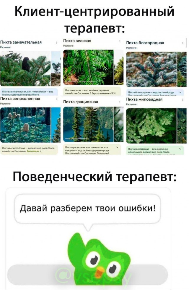 Психомемы-18