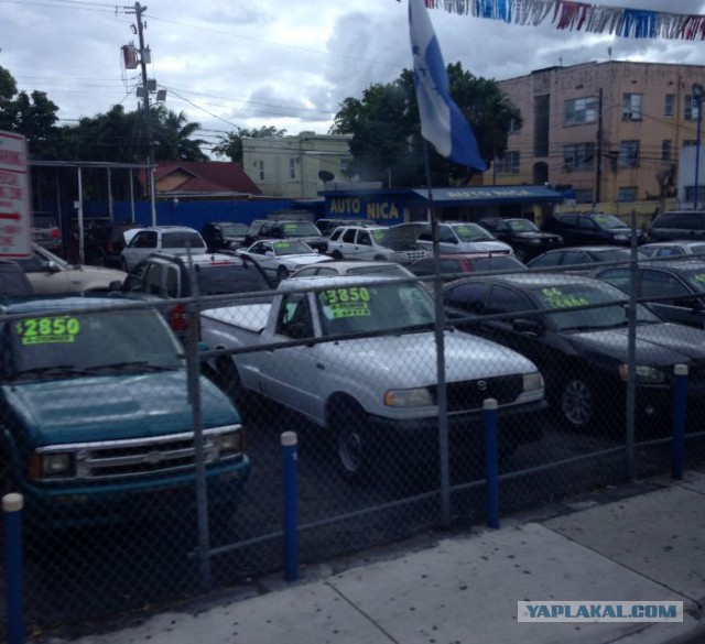 Поездка в Miami