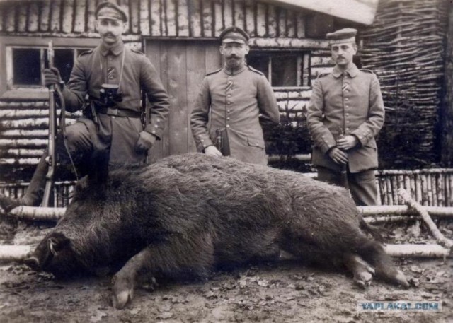 Фотографии второй мировой, многие цветные (фото)