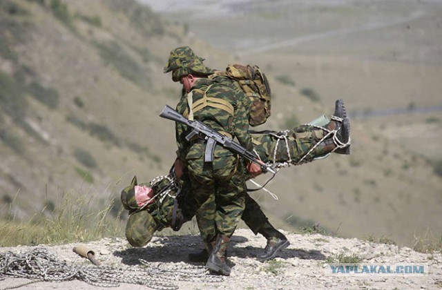 Наши военные.