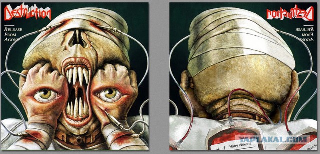 Обложки знаменитых музыкальных альбомов: вид сзади