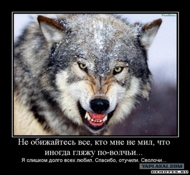 Как я стал козлом