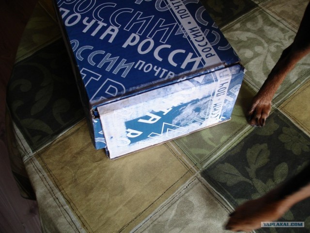 Как отправить посылку Почтой России