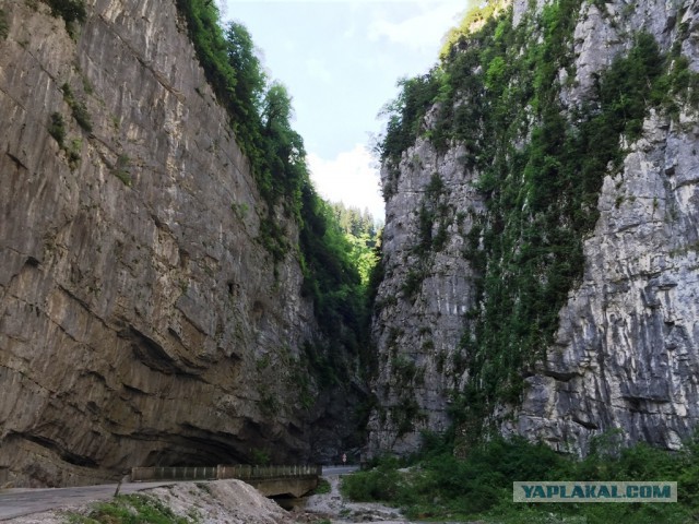 Абхазия, пансионат "Самшитовая роща"