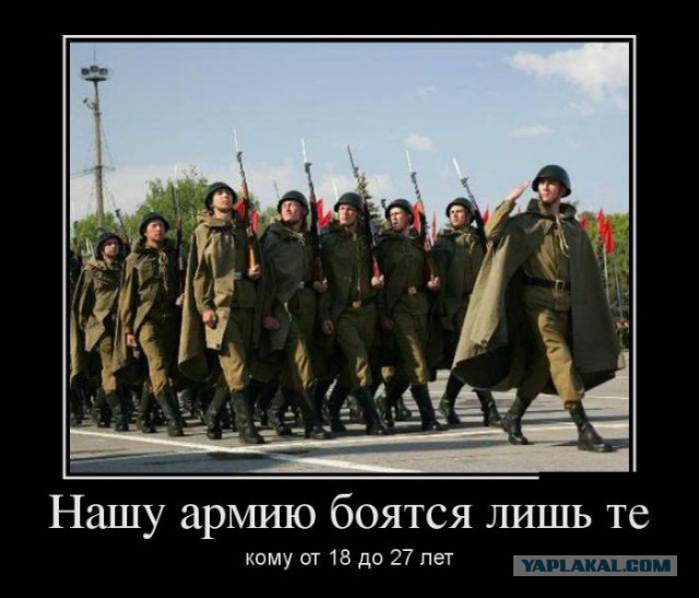 Весёлости в картинках