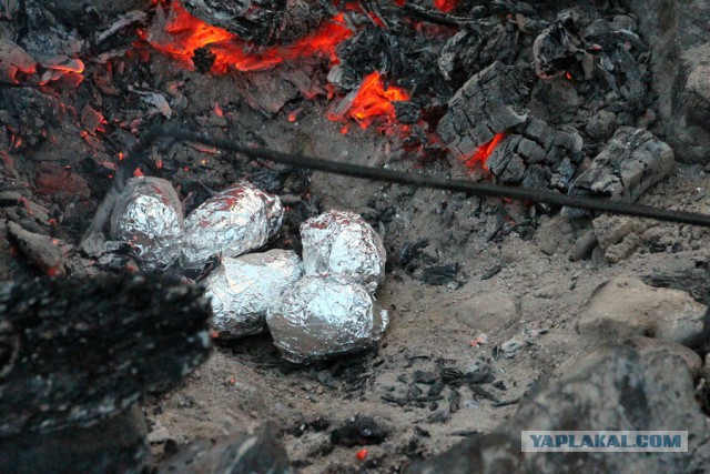 Мы вернулись с Горного