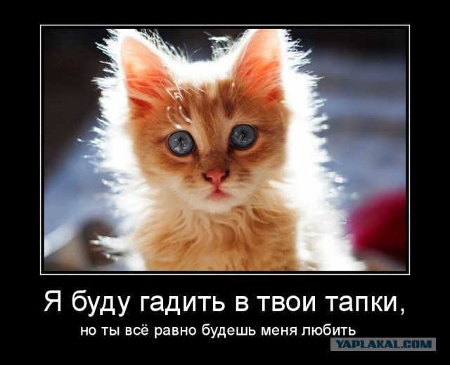 Женские ответы