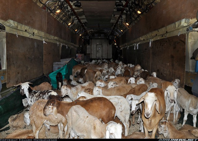 Авиакурьезы и просто необычные фото