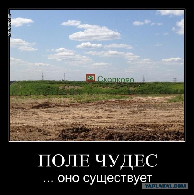 Сколково и Роснано могут закрыть из за неэффективности