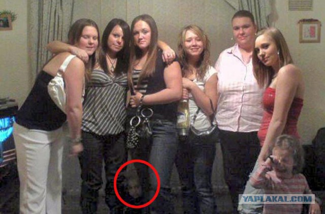 19 фотографий, где фон намного интересней переднего плана