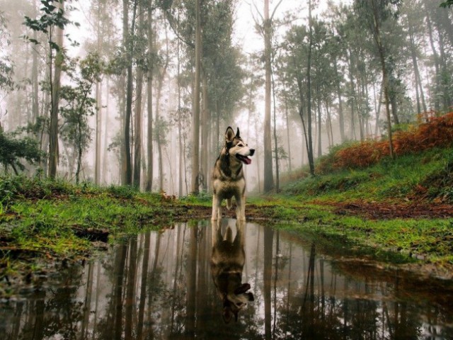 Как прекрасен и трагичен этот мир, ч.7