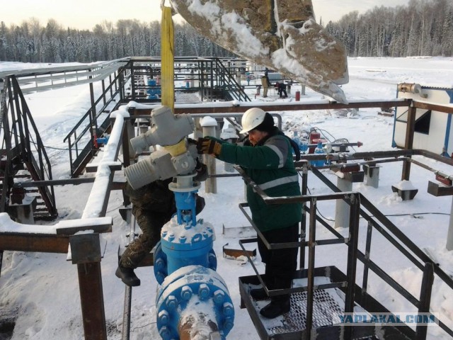 Трудовой народ в лицах