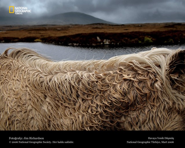 Лучшие фотографии National Geographic